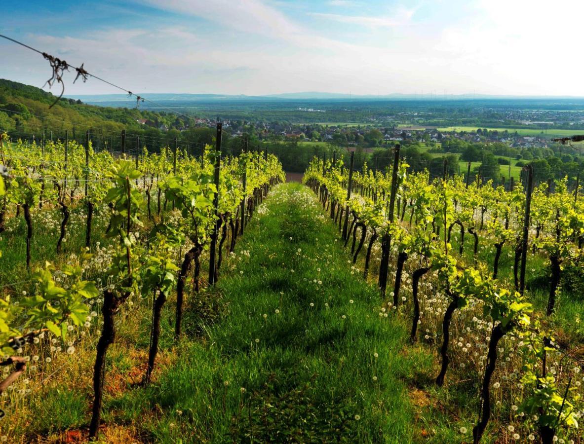 Weinmotel Simon 1 A Alzenau Zewnętrze zdjęcie